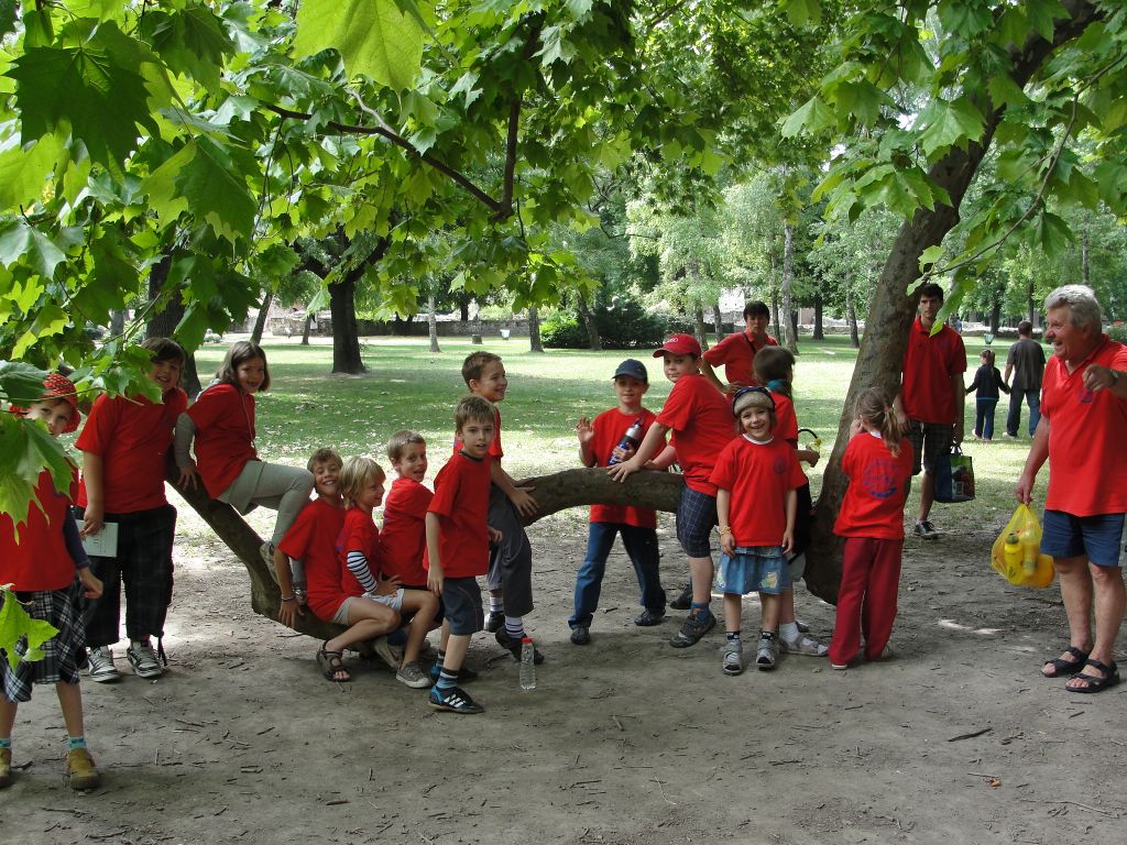 Nagykép-uszotabor220.jpg Nagykép-uszotabor220.jpg